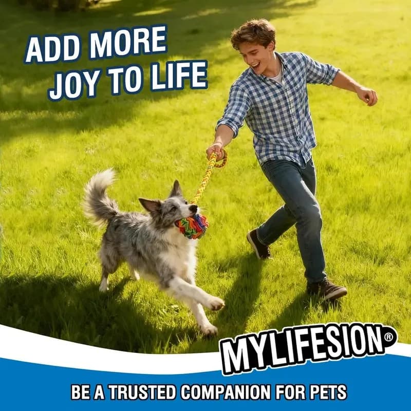 Interactive Snuffle Ball Dog Toy Slow Feeder Puzzle for Treats Mental Stimulation Chew Toy Enrichment Game Anxiety Relief for