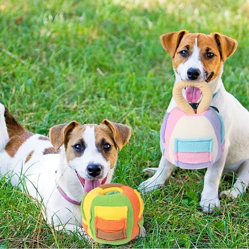 Interactive Dog Puzzle Toy - Treat-Dispensing Fried Ball with Squeaker for Mental Stimulation & Fun